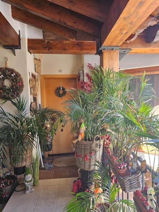 Attico Luxury Suitemalaga Bagian luar foto