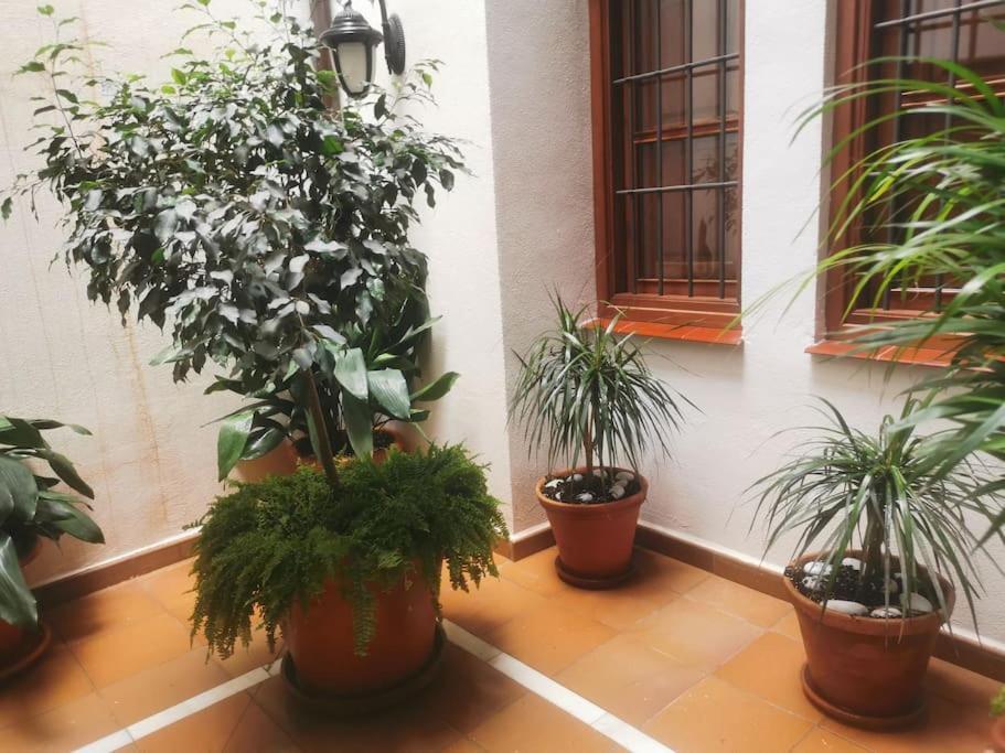 Attico Luxury Suitemalaga Bagian luar foto